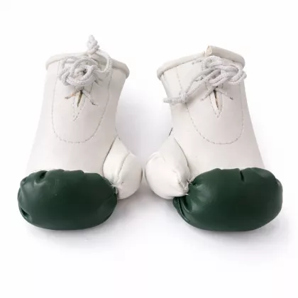 Pakistan Mini Boxhandschuhe