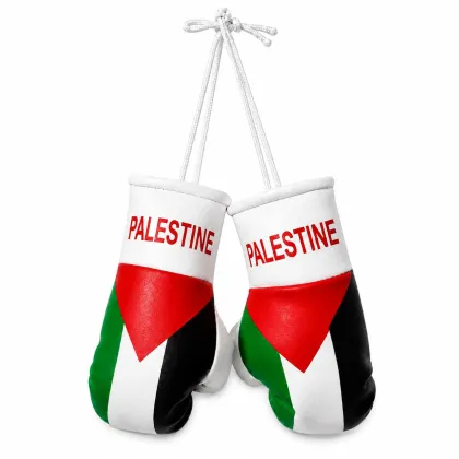 Palestine Mini Boxing Gloves