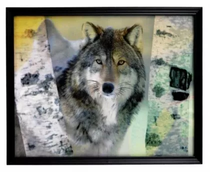 3D Picture wolf