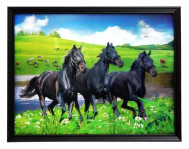 3D Picture horses