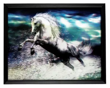 3D Bild Pferde