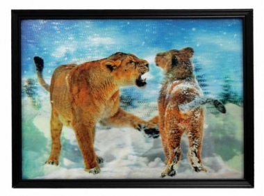 3D Picture lions