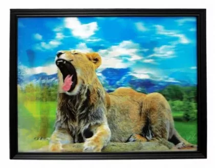 3D Bild Löwen