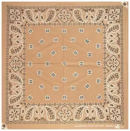 Rocker Bandana Paisley Pattern