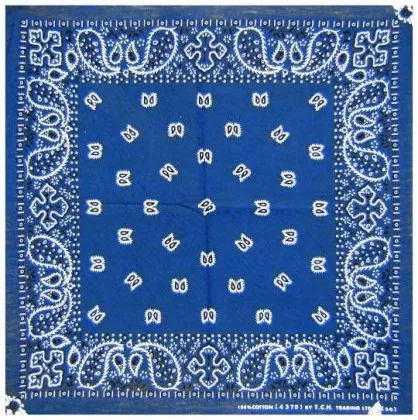 Bandana Halstuch Paisley Blau Weiß