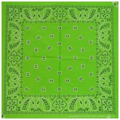 Paisley Bandana Halstuch in Grün