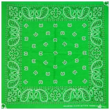 Biker Bandana Halstuch Paisley Muster Grün