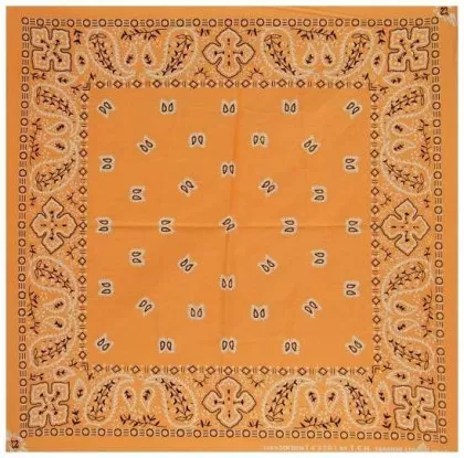 Bandana Halstuch Paisley Apricot