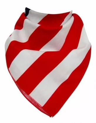 Bandana USA Fahne