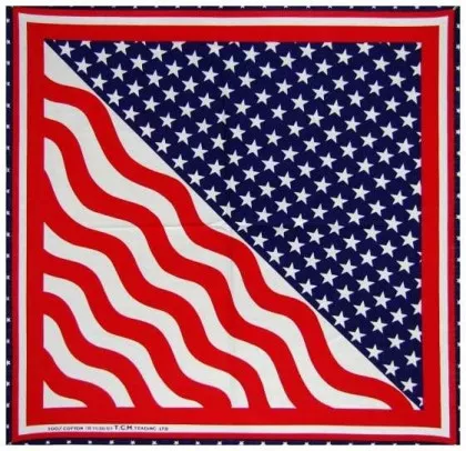 Biker Bandana Halstuch Amerika Fahne