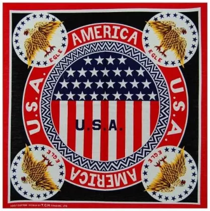 Bandana Scarf America