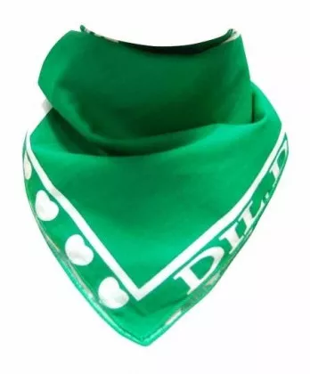 Bandana Halstuch I Love Pakistan