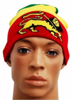 Beanie - Afrika Löwe