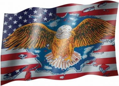 USA Eagle - Flag