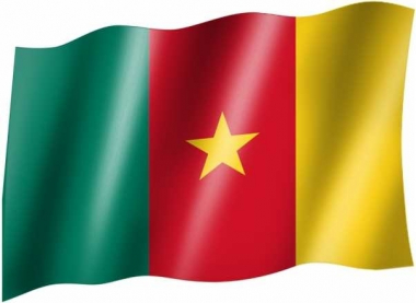 Kamerun - Fahne