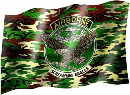 Airborne - Fahne