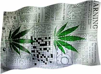 Hemp - Fahne