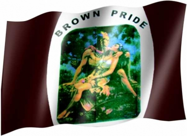 Brown pride - Fahne