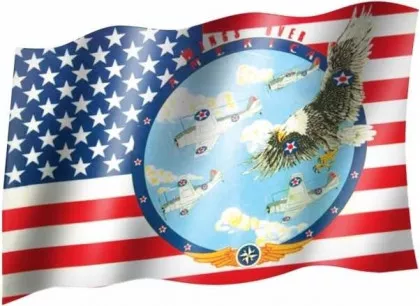 Wings over America - Fahne