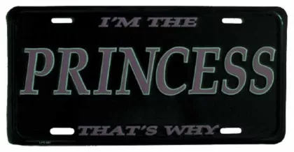 Princess Blechschild - 30cm x 15cm