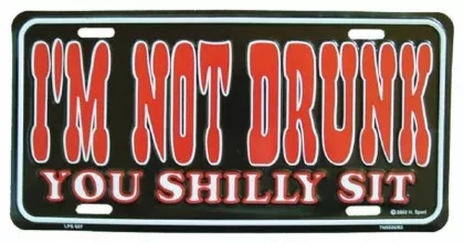 I'm not drunk Blechschild - 30cm x 15cm