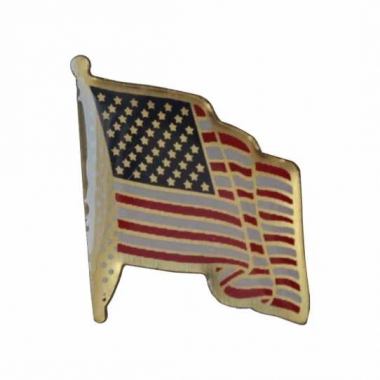 USA Pin Badge