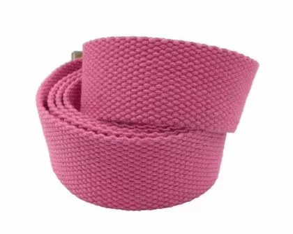Pink Canvas Belt