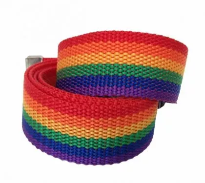 Canvasgürtel Regenbogen