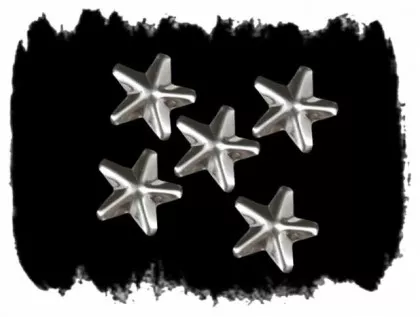 Sternnieten Ziernieten 10 mm x 10 mm | 100 Stück