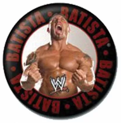 Anstecker WWE