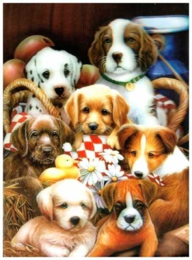 3D Poster Hundewelpen