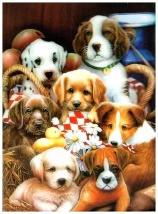 3D Poster Hundewelpen