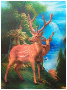 3D Poster Hirsche in freier Natur