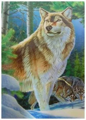 3D Poster Wölfe