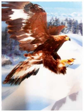 3D Poster Flying Eagle