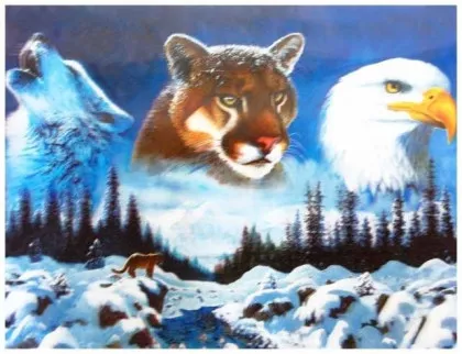 3D Poster Schneewildnis