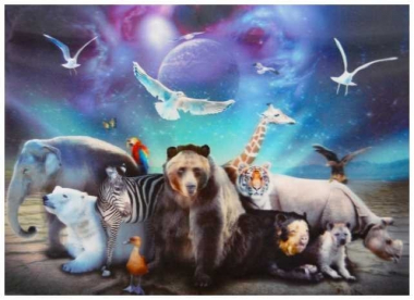 3D Poster Animal Universe