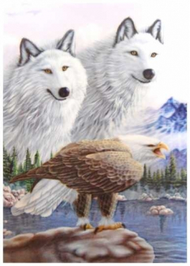 3D Poster Wolves and Eagle