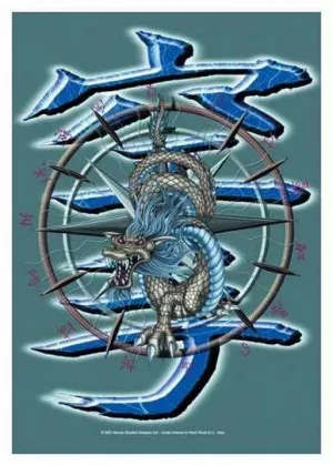 Posterfahne Dragon Circle