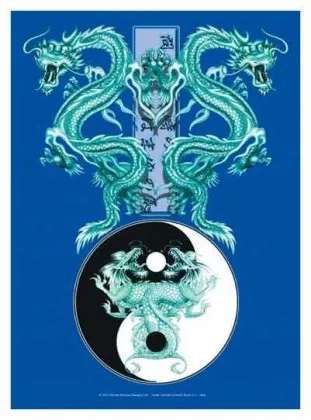 Posterfahne Tao Twins Dragons