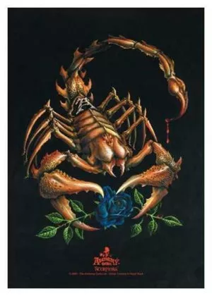 Posterfahne Alchemy