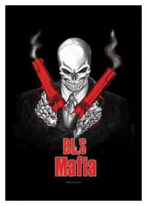 Posterfahne BLS