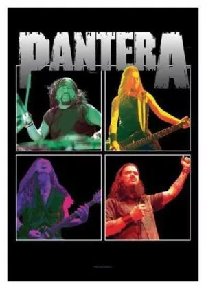 Posterfahne Pantera | Band Rahmen