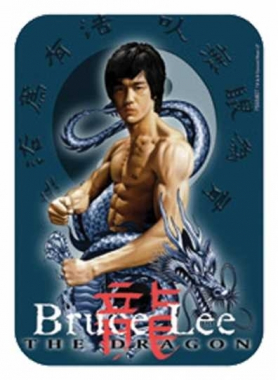 Aufkleber Set Bruce Lee