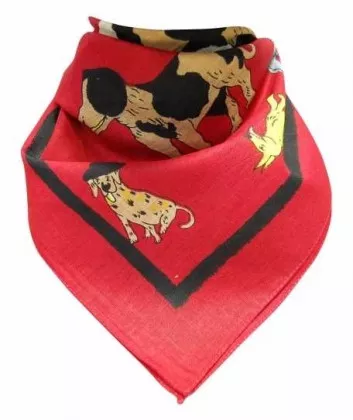 Bandana Kopftuch Süsse Hündchen