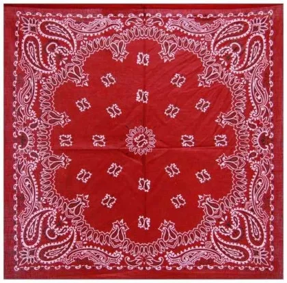 Paisley Bandana Halstuch