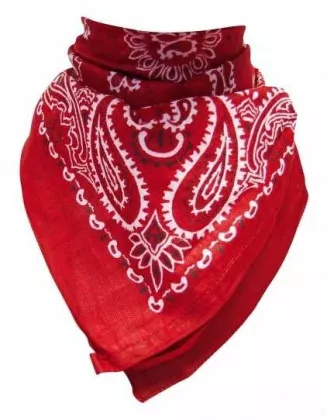 Paisley Bandana Halstuch