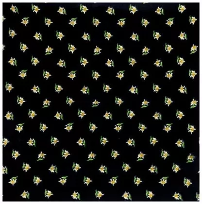 Bandana Halstuch Schwarz Edelweiß