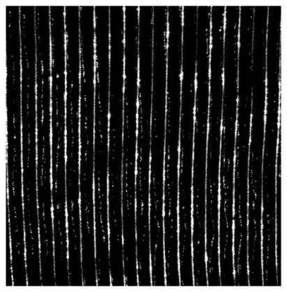 Baumwolle Polyester Tuch Schwarz & Silber