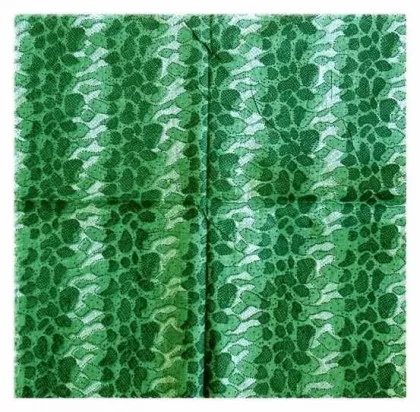 Printed Cotton Scarf Green Vintage